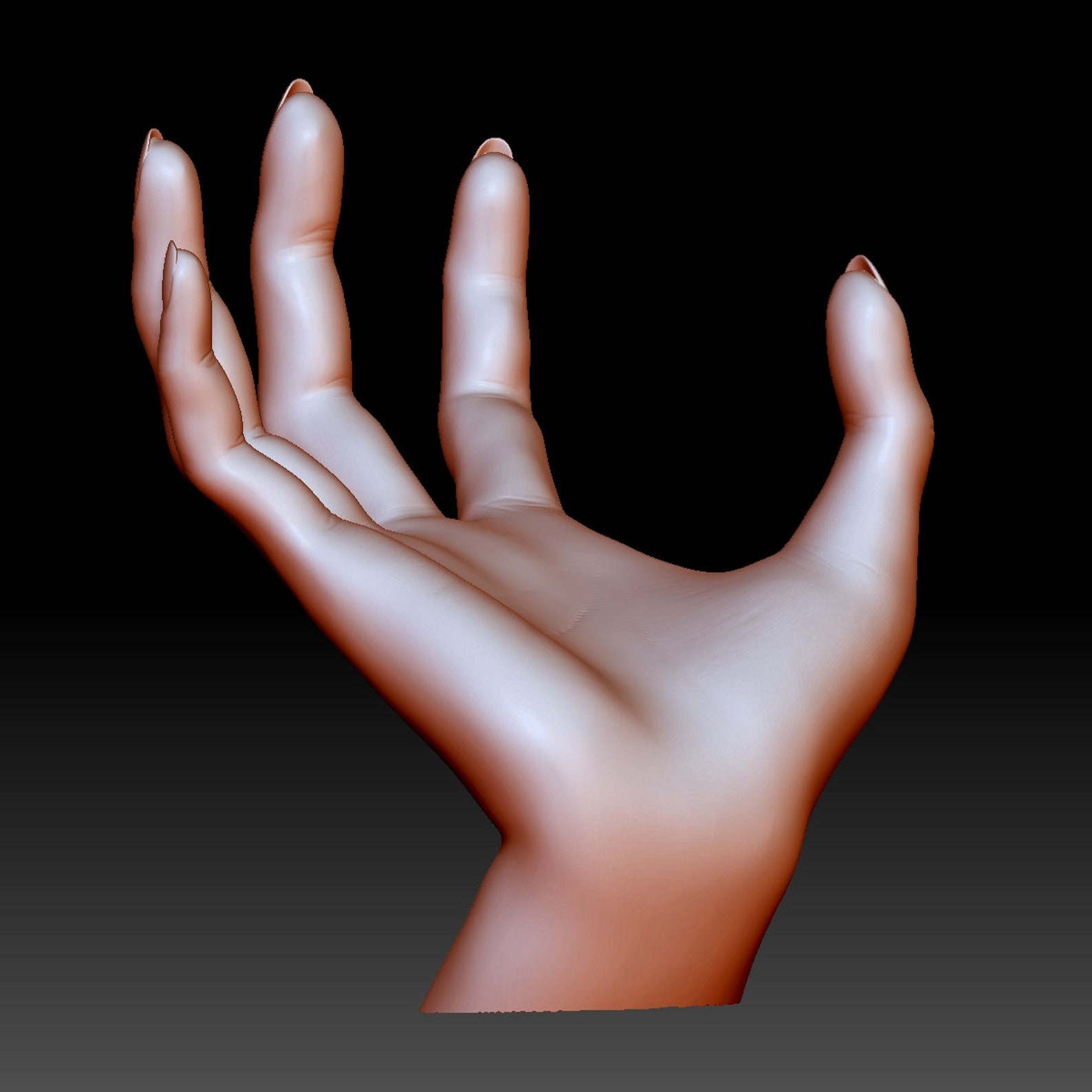STL file for 3D printing Hand holding 3D printable model Etsy