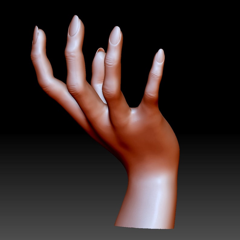 STL file for 3D  printing Hand  holding 3D  printable model  