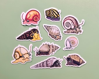 Aquarium Snail Stickers | Waterproof Vinyl, Cute Animal Art