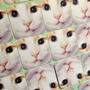 Sticker leeg hoofd