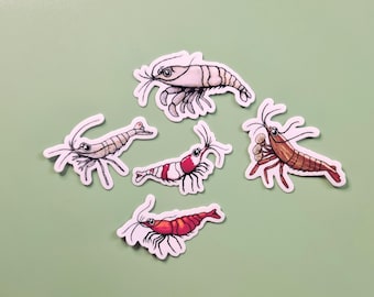 Stickers aquariumgarnalen: schattige waterdichte vinyl dierenstickers