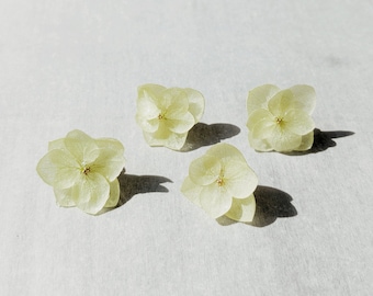 Luxury Real Flower Jewelry Gift for Her - Stud Earrings, Dried Flower, bridesmaid jewelry, Wedding, Flower Girl,  Birthday