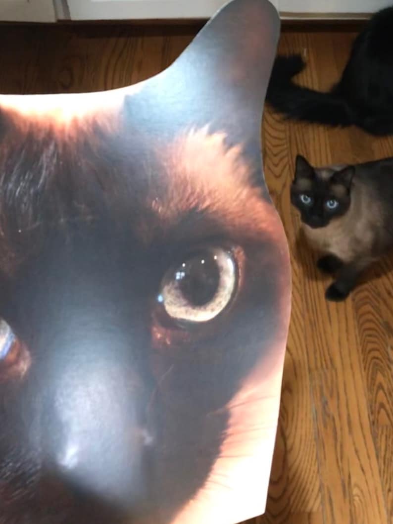 Custom Cat Head Cutouts Take Your Cat With You Anywhere You Etsy