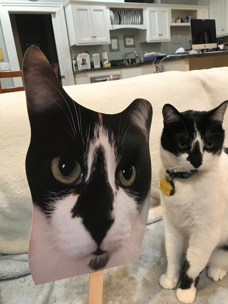 Custom Cat Head Cutouts Take Your Cat With You Anywhere You Etsy