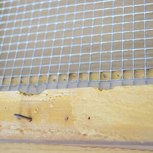 May include: Close-up of a wooden frame with a silver wire mesh screen attached. The screen is secured with nails.