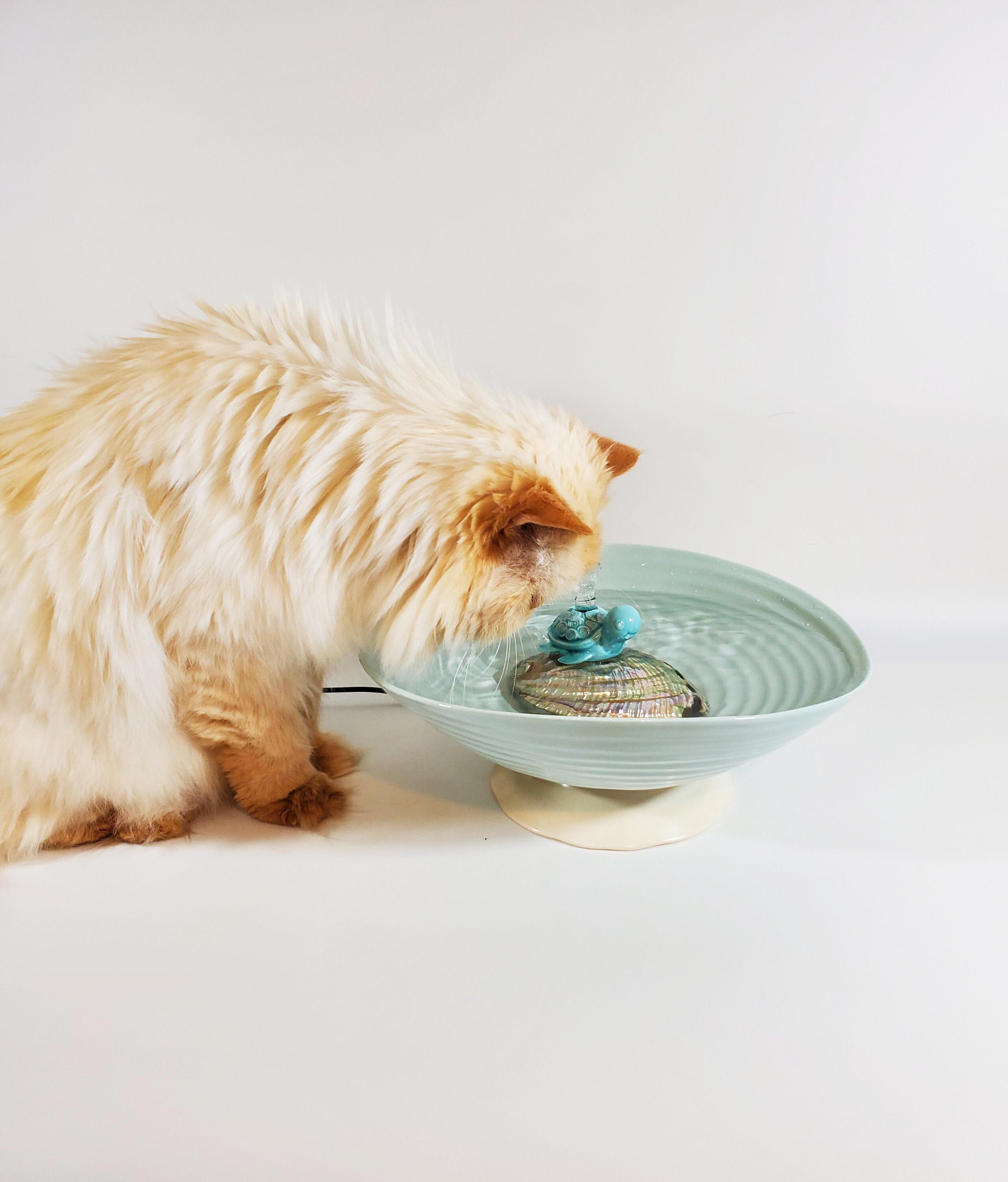 Cat Water Fountain Ceramic Pet Drinking Fountain Etsy