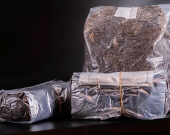 Fruiting Bags for Mushrooms
