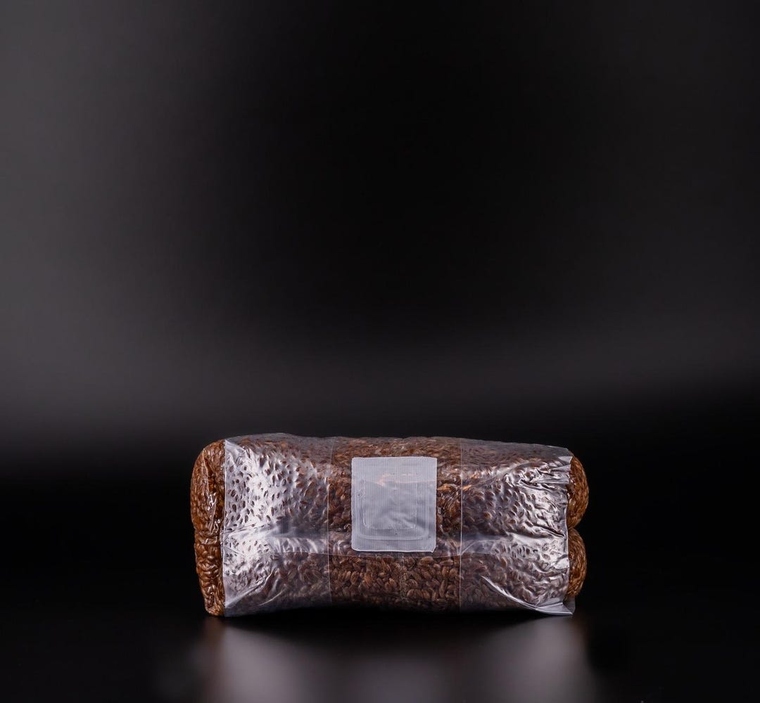 Organic Rye Berry Sterilized Hydrated Grain Bag - Etsy