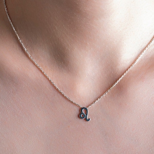 Leo Zodiac Necklace: Tiny Horoscope Necklace, Minimalist Astrology Jewelry