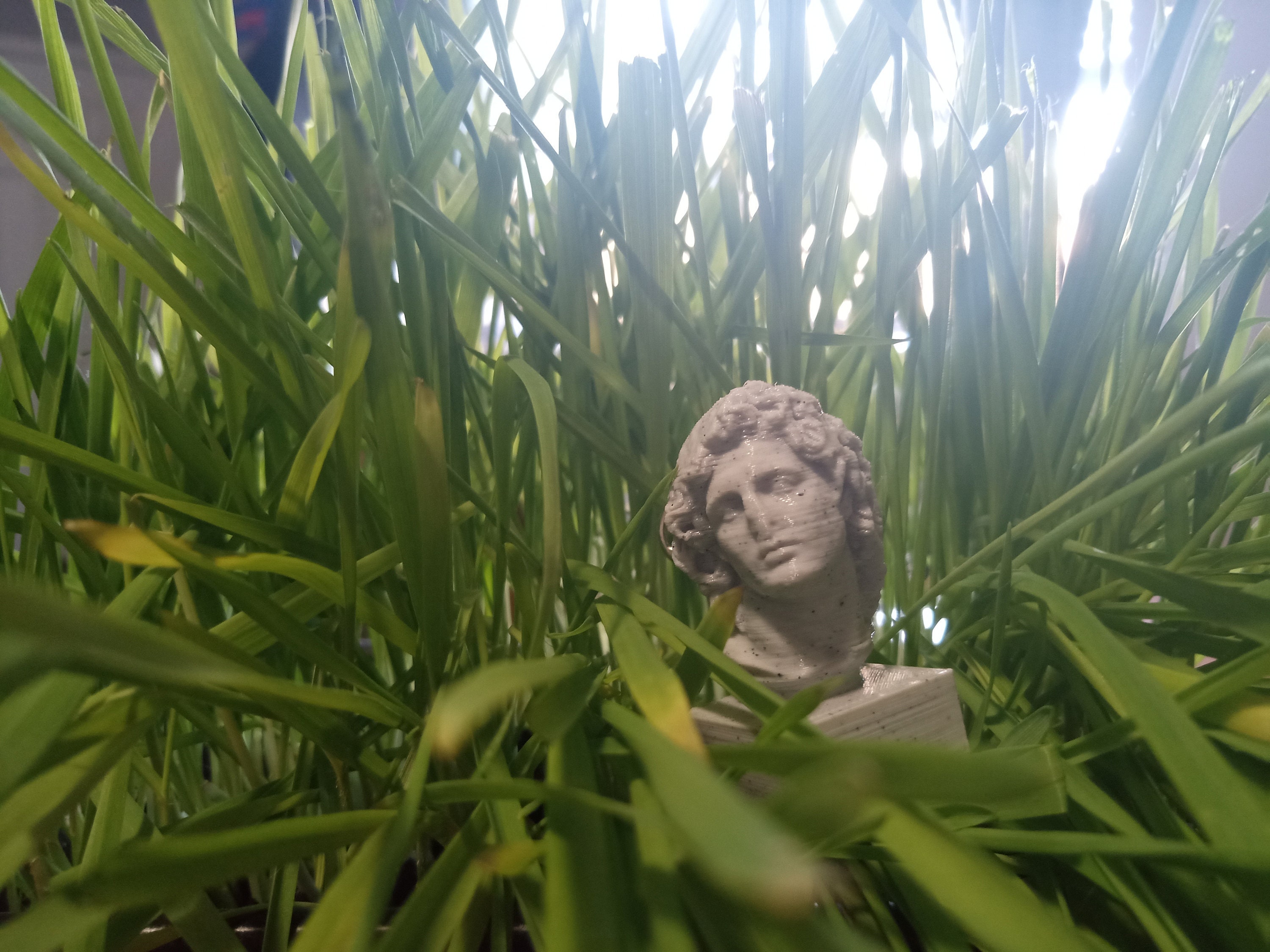 amazon helios bust amazon helios bust