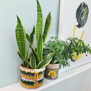 Pode incluir: Duas plantas em vasos em cestos de crochê. A planta à esquerda é uma planta cobra com folhas verdes e amarelas listradas. A planta à direita é uma schefflera com folhas verdes. Ambas as cestas têm um padrão listrado amarelo, laranja e verde com contas de madeira castanhas.