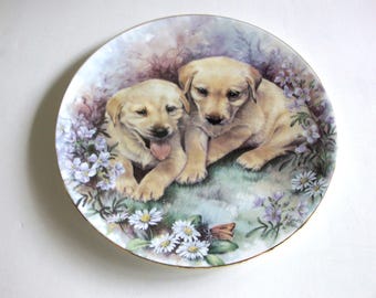 Vintage Yellow Labrador Puppies Plate by Royal Grafton