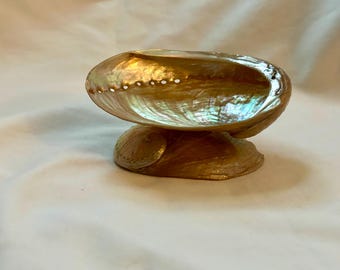 Egyptische witte schelp abalone afwaszeep, zeer uniek, handgemaakt, 11,4 cm x 9 cm / Grote veelkleurige schelp 15,2 cm x 12 cm
