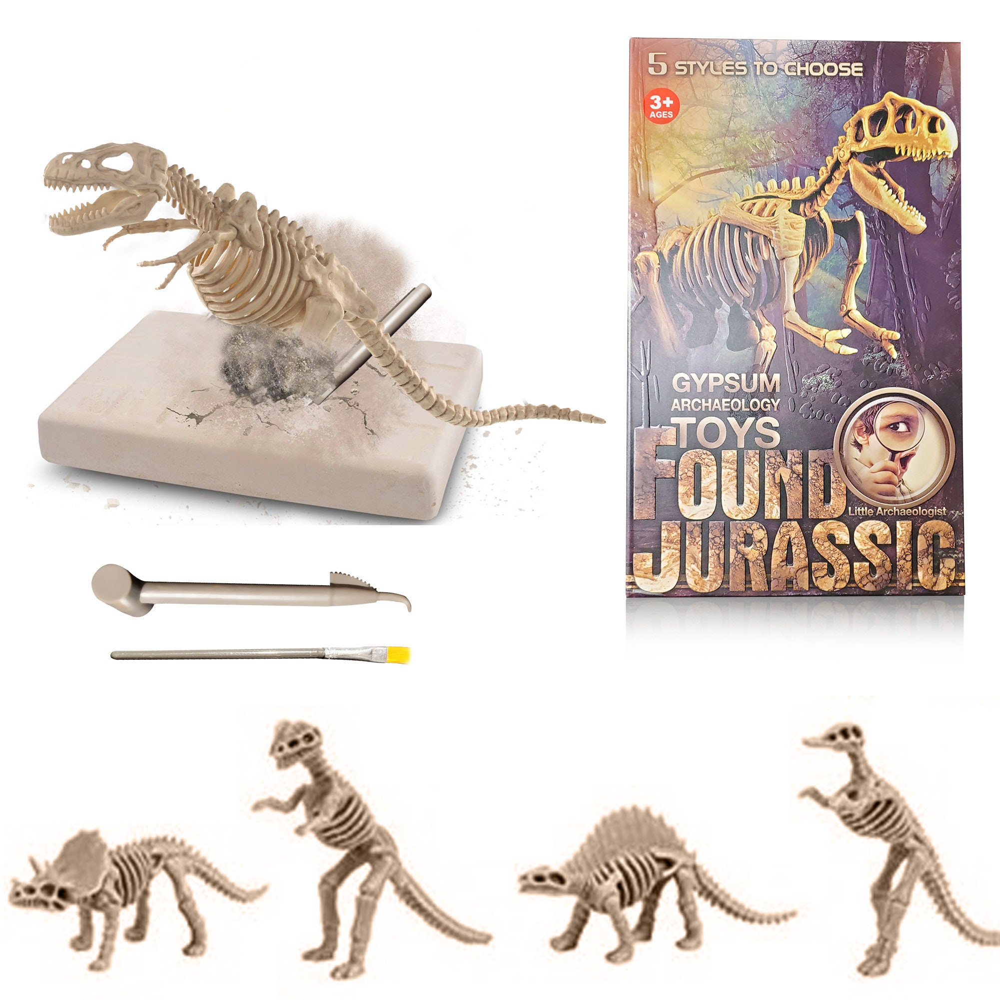 Dinosaur Bones for Sandbox