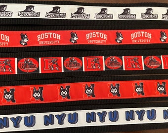 Game day Purse Strap, Adjustable, crossbody, replacement strap, stadium, grad gift, Boston, merch, GameDay bling, keychain, Shoulder Purse