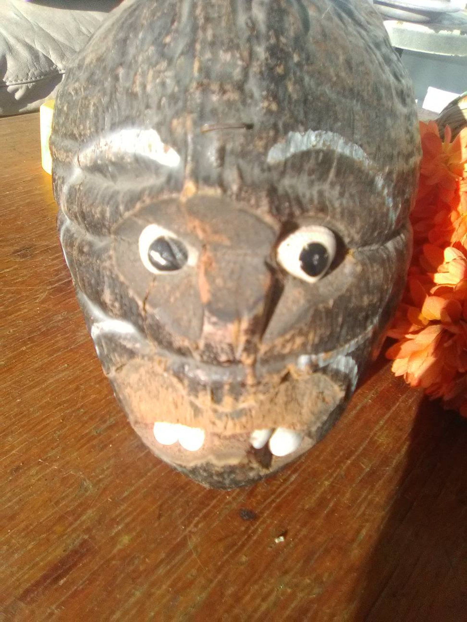 Hawaiian Souvenir Coconut Head Etsy