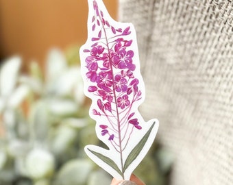 Hand-Drawn Fireweed Flower Sticker, Alaska Made, Weatherproof Vinyl