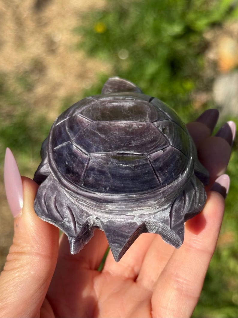 May include: A carved, dark purple turtle figurine. The turtle has a detailed shell pattern and is held in a person's hand. The figurine is made of a stone-like material and is set against a blurred green background.