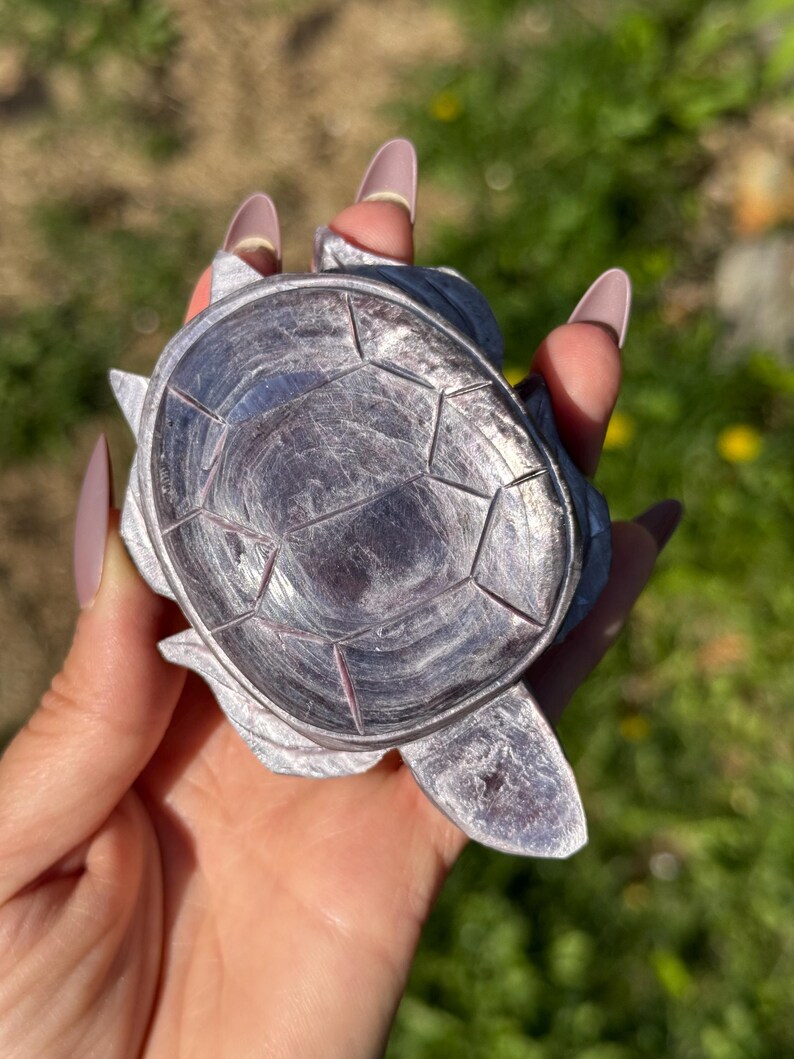 May include: A detailed, silver-coloured turtle figurine. The turtle's shell features a geometric pattern, and its flippers and head are visible. The figurine is held in a hand against a blurred green background.