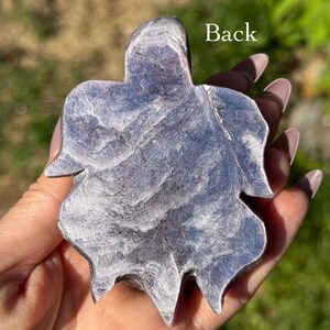 May include: A leaf-shaped, polished stone with a swirling, textured pattern in shades of grey and purple. The word "Back" is visible on the stone. The stone is held in a hand against a blurred green background.