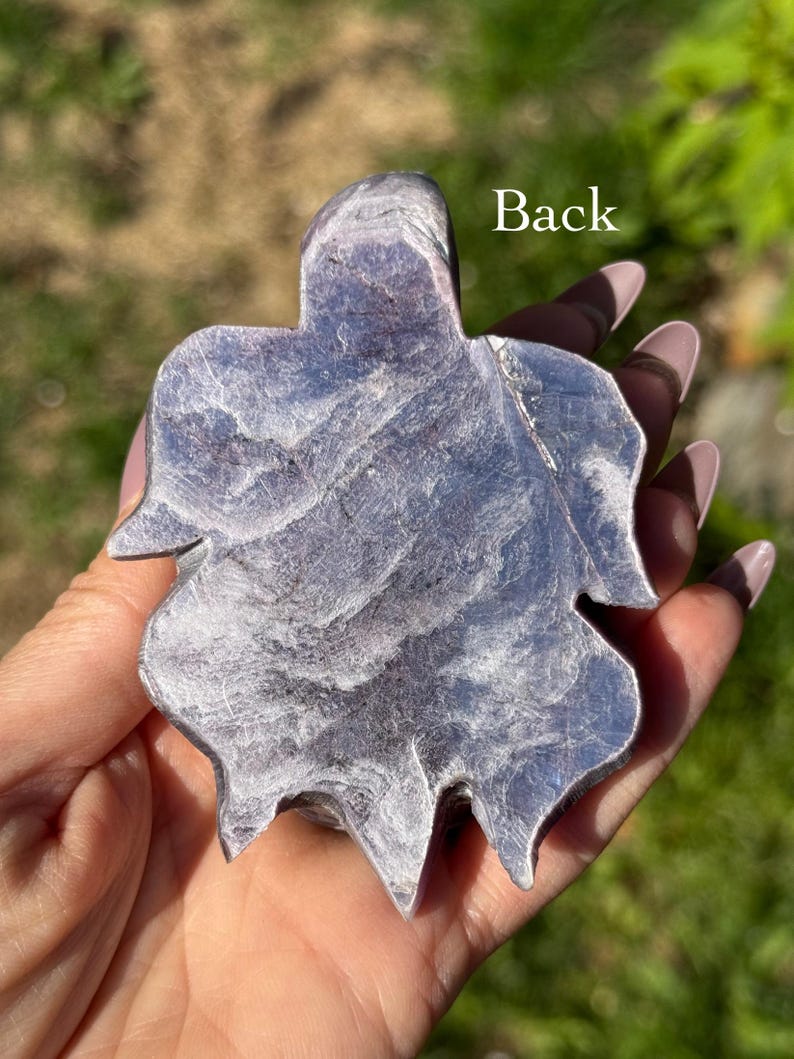 May include: A leaf-shaped, polished stone with a swirling, textured pattern in shades of grey and purple. The word "Back" is visible on the stone. The stone is held in a hand against a blurred green background.