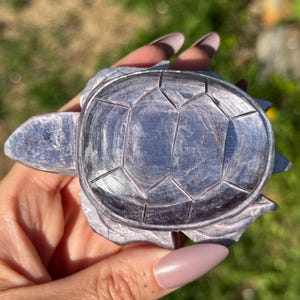 May include: A carved, iridescent grey turtle figurine. The turtle's shell is segmented with a geometric pattern. The figurine is held in a hand against a blurred green background.