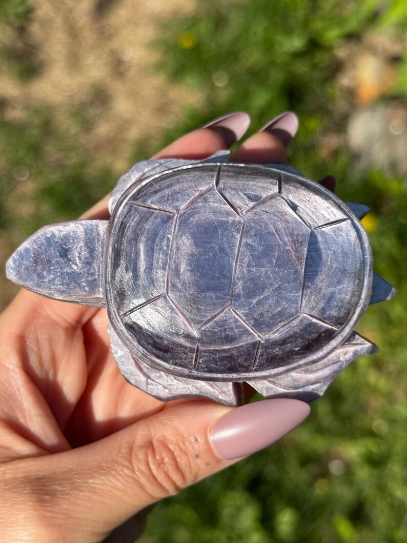 May include: A carved, iridescent grey turtle figurine. The turtle's shell is segmented with a geometric pattern. The figurine is held in a hand against a blurred green background.