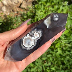 Peut inclure: Une pointe de cristal d'agate grise polie avec des motifs circulaires blancs et gris clair. Le cristal a une pointe facettée et est tenu sur un fond de feuillage vert. La pierre mesure environ 13 cm de long.