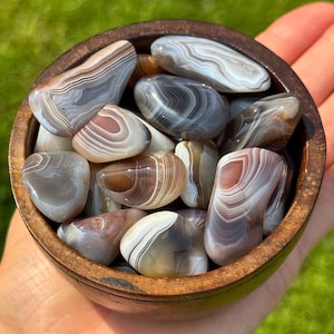 Peut inclure: Un bol en bois rempli de pierres d'agate polies. Les pierres présentent une variété de couleurs, dont le blanc, le gris, le marron et le beige, avec des motifs en bandes. Le bol est tenu dans une main sur fond d'herbe verte.