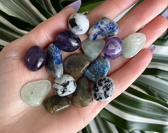 1 set of 5 tiny crystals with: Amethyst, Labradorite, Lapis Lazuli, white Moonstone, Prehnite - tiny crystals kit collection