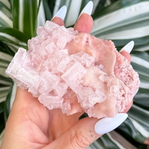 Peut inclure: Un amas de cristaux de sel rose de l'Himalaya avec une texture brute et naturelle. Le cristal est composé de nombreux petits cristaux roses translucides.