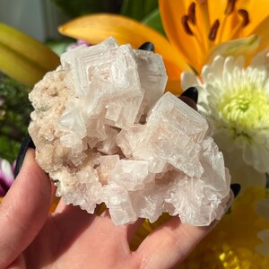Spécimen d’Halite naturel de Californie ~ avec Trona ~ No. HT11