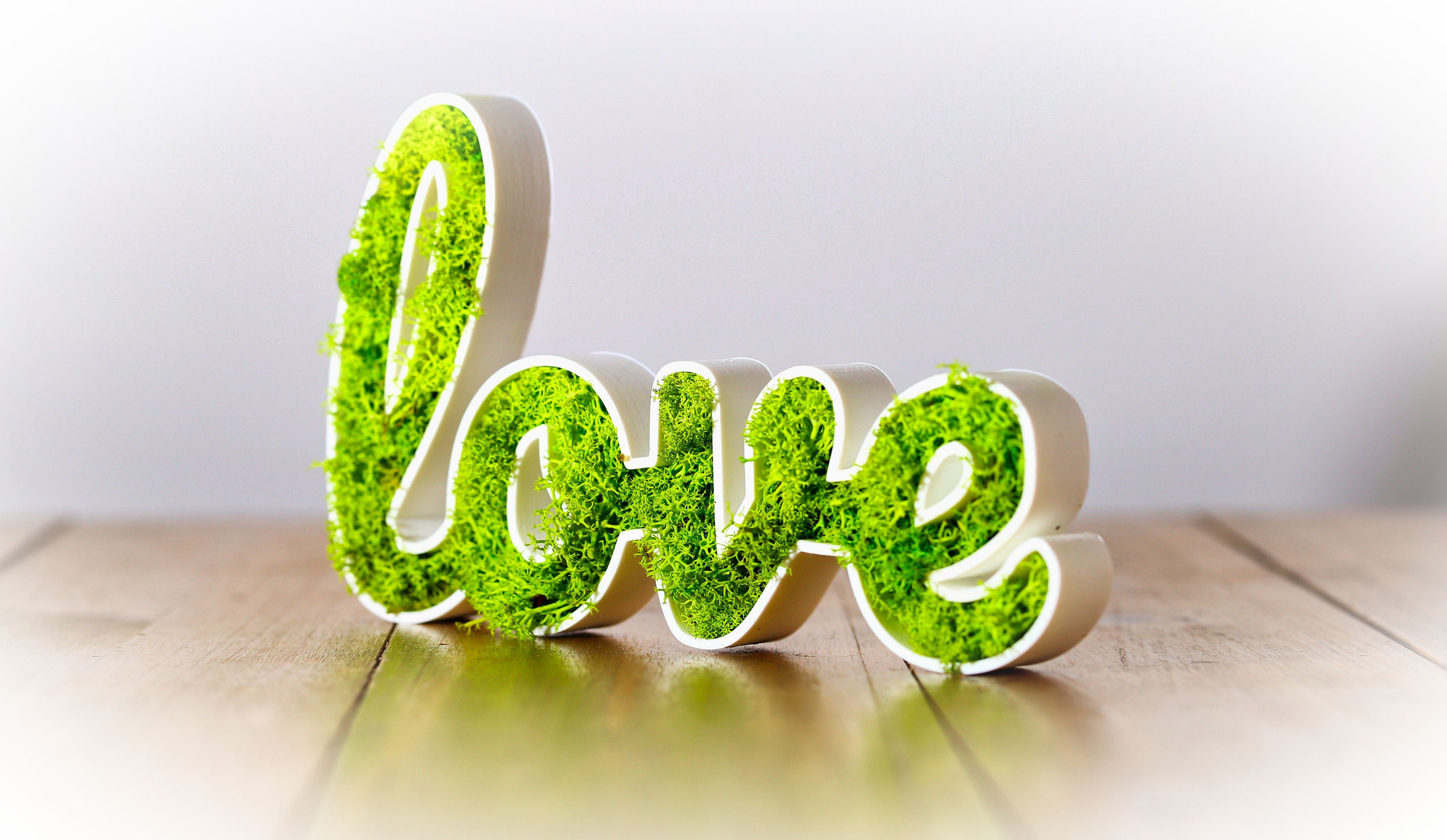 Tableau Végétal Lichen Love