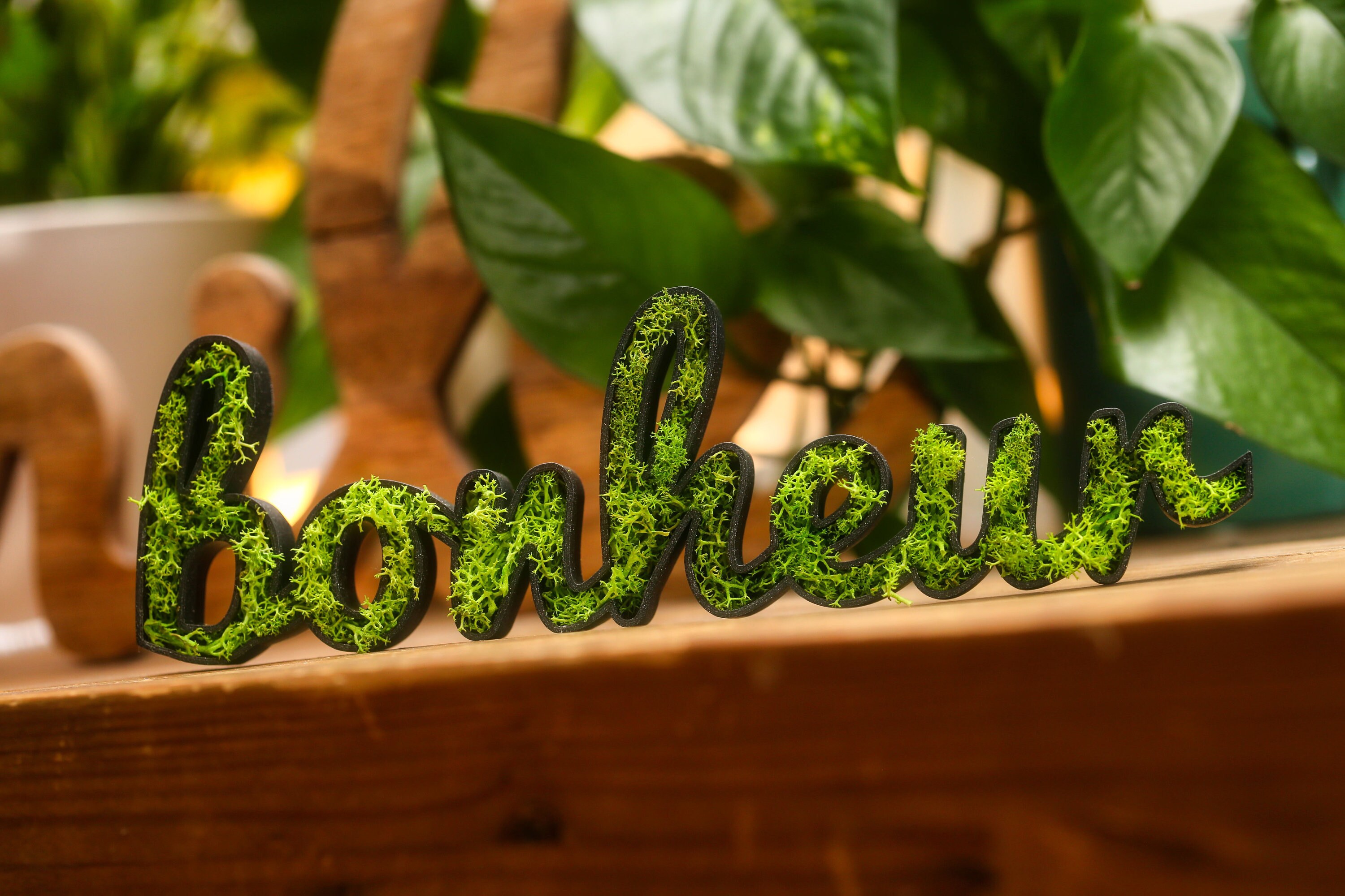 Tableau Végétal Lichen Naturel Bonheur