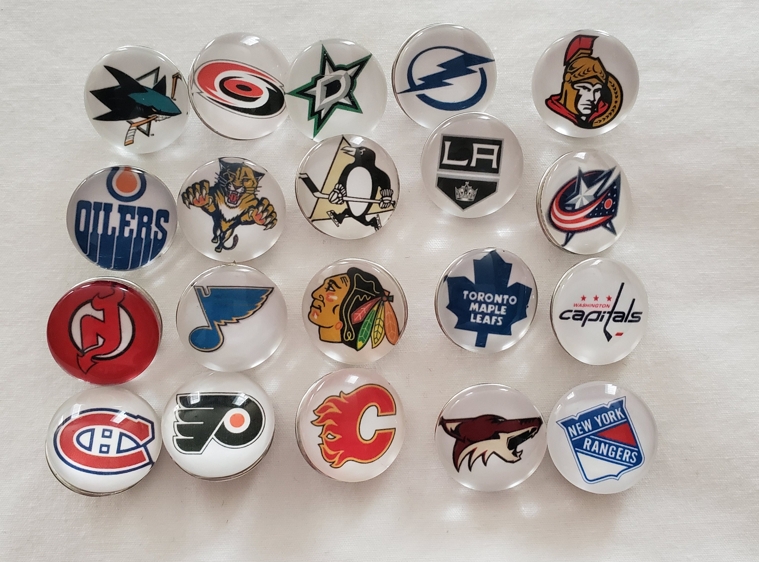 Winger NHL Hockey Player Lapel Pin Pinback Hat Tie Tack