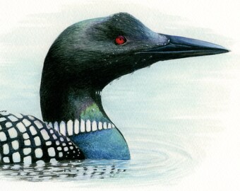 Common Loon Limited Edition Giclee Print, 8x10, Wildlife and Bird Illustration, Watercolour Artwork, Bird Art, Wall decor