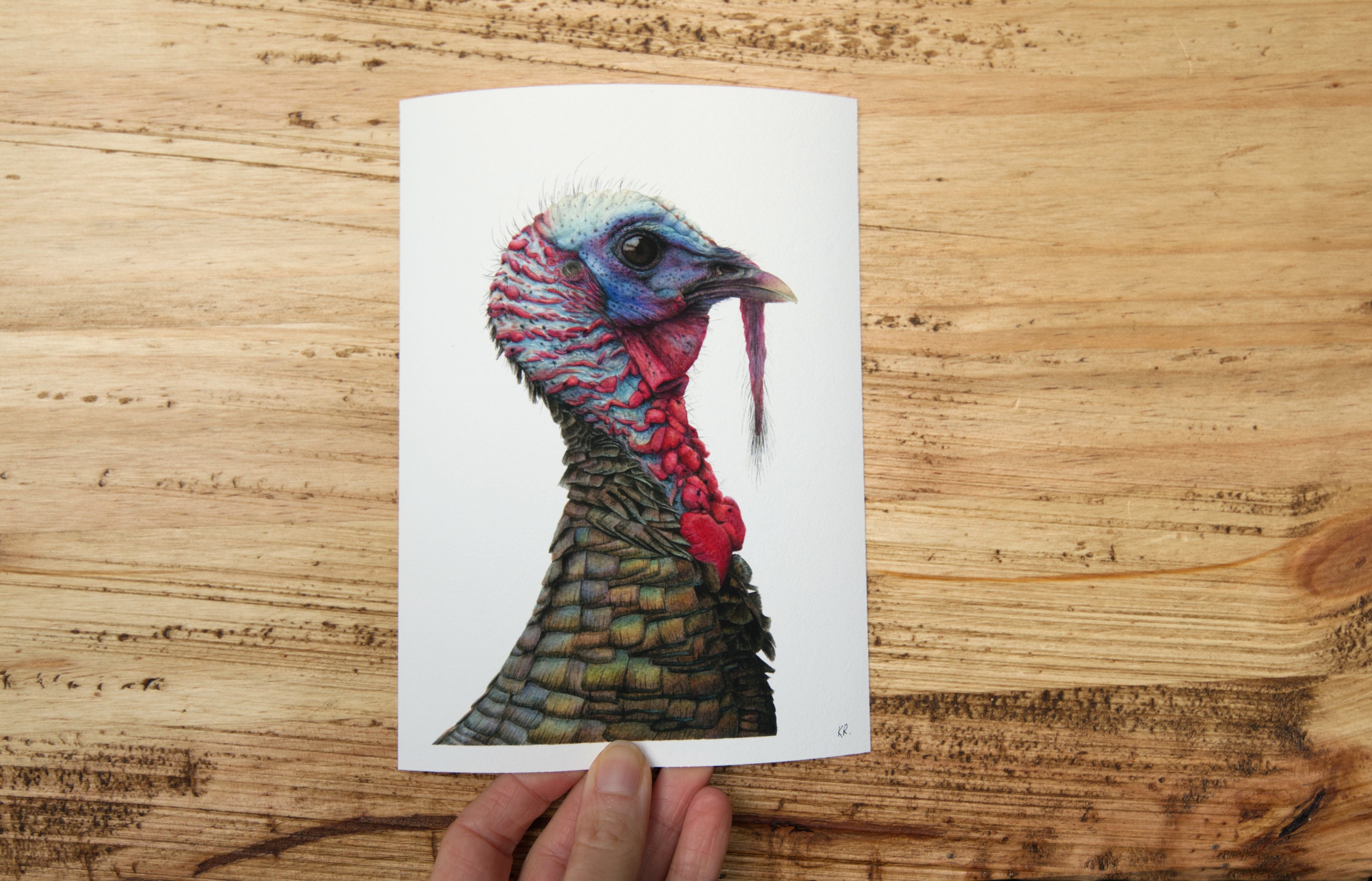 Fine Art Print Wild Turkey, Bird Art, Wildlife and Nature Illustration, Watercolour Print, Wall