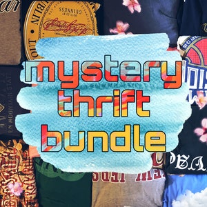 Mystery Thrift Bundle