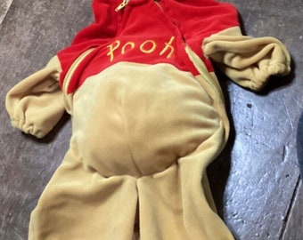 Winnie The Pooh Costume ~ 6 Months