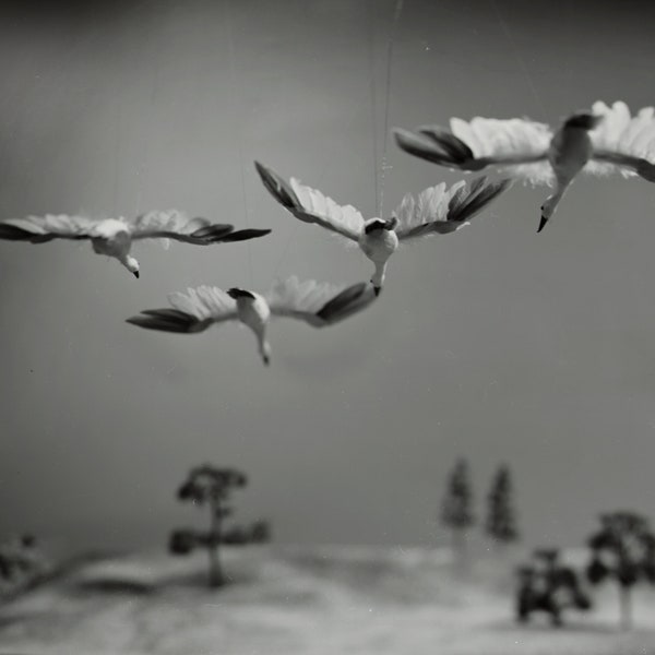 Schwarzweiss Druck: Miniaturen fliegende Gänse, Gerahmte Silbergelatine Druck, Wanddeko
