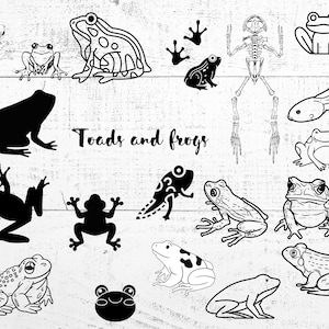 Frog SVG, Frog PNG, Printable, Digital Image, Download