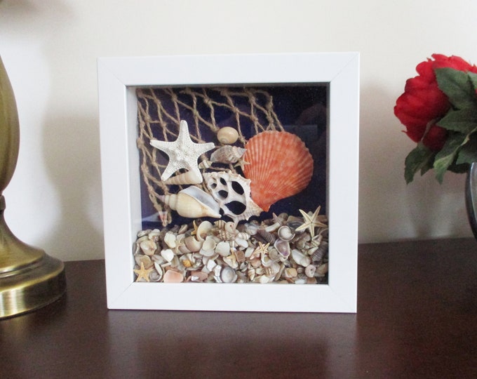 Beach Seashell Shadow Box, Fish Netting, Conch, Starfish, Chula, Crushed Shells Etsy