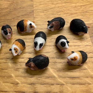 Gorgeous Guinea Pig earrings