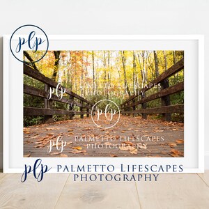 Mountain Bridge In the Fall, Fall Foliage, Mountain Bridge, Mountain stream, Smoky Mountain bridge