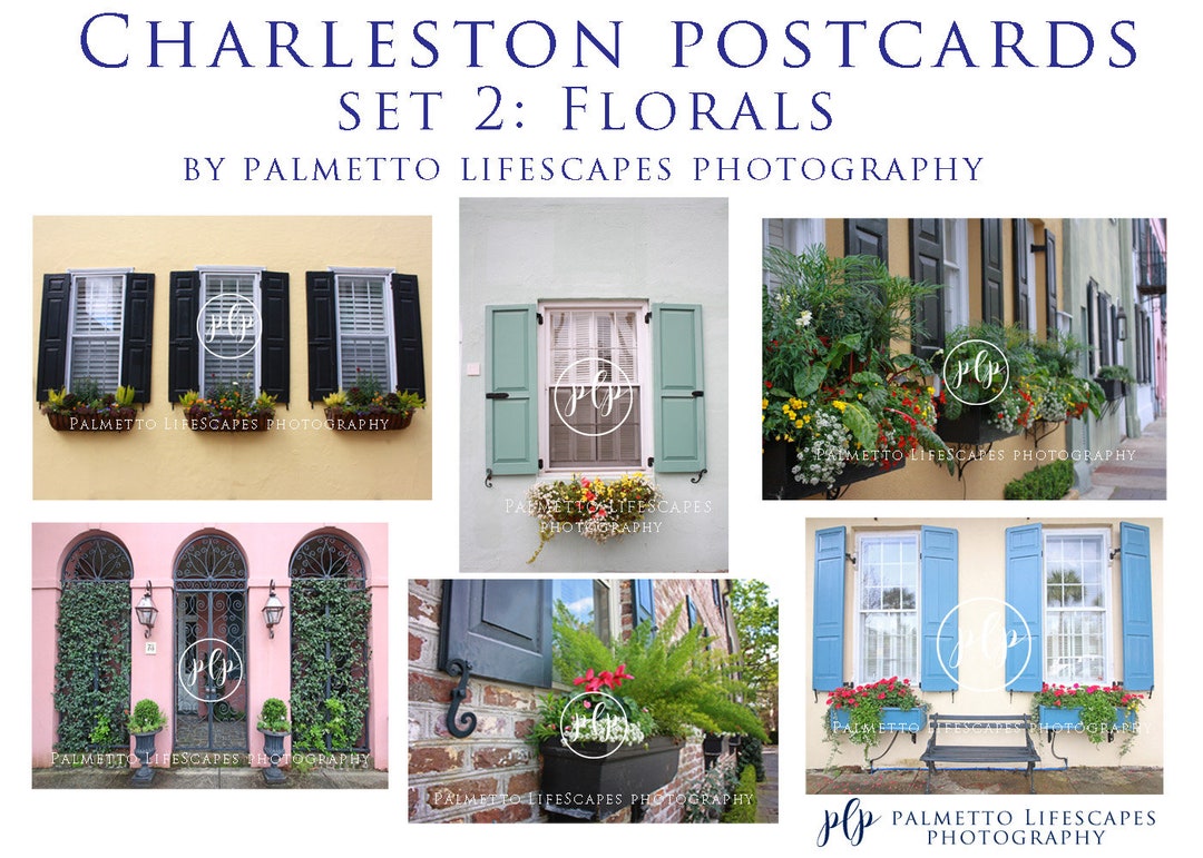 Charleston Postcards Floral Pastel Charleston, Charleston Cards