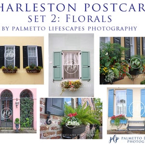 Charleston Postcards | Floral— Pastel Charleston, Charleston Cards, Charleston Flower Boxes, Holy City, Downtown Charleston
