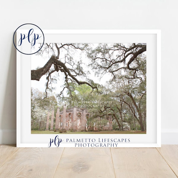 Sheldon Church Ruins Print | Sheldon Church, Church ruins, Beaufort Print