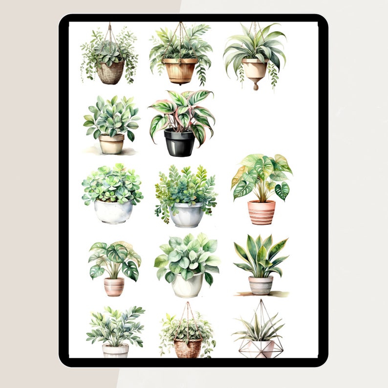 Plant Digital STICKERS, Goodnotes Sticker Boho, Botanical Stickers ...