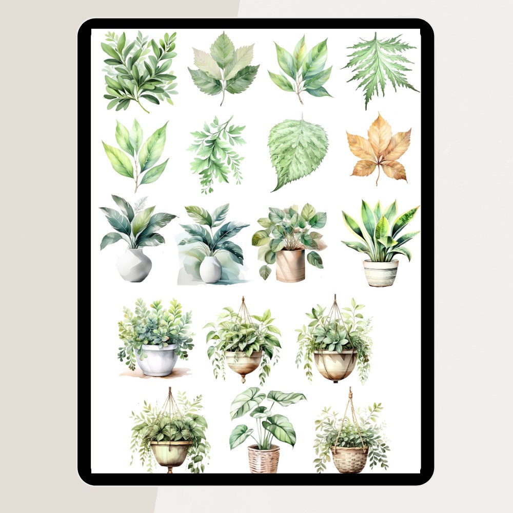 Plant Digital STICKERS, Goodnotes Sticker Boho, Botanical Stickers ...