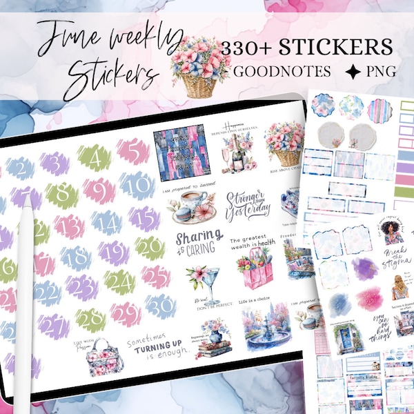 June GOODNOTES STICKER digital sticker, GoodNote stickers monthly, functional stickers, everyday digital journal sticker, motivational quote